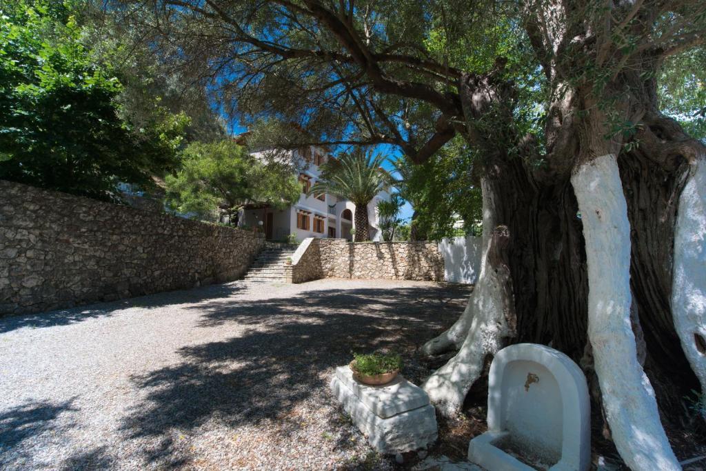 Ilios Studios Lefkáda Exterior foto